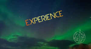 Sortir de la Routine : L'Expérience est Partout